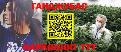 МДПВ Пенза