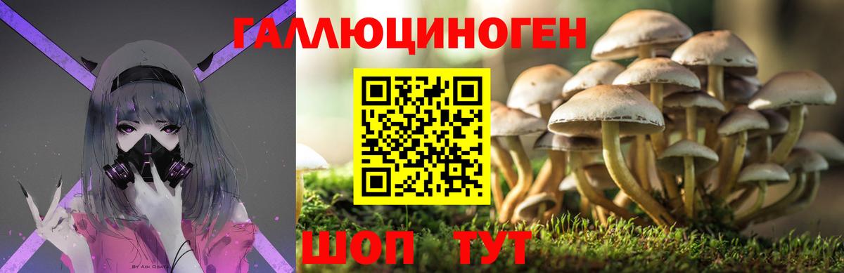 Галлюциногенные грибы Psilocybine cubensis  Вход с VPN  Псилоцибиновые грибы мухоморы  Омск 